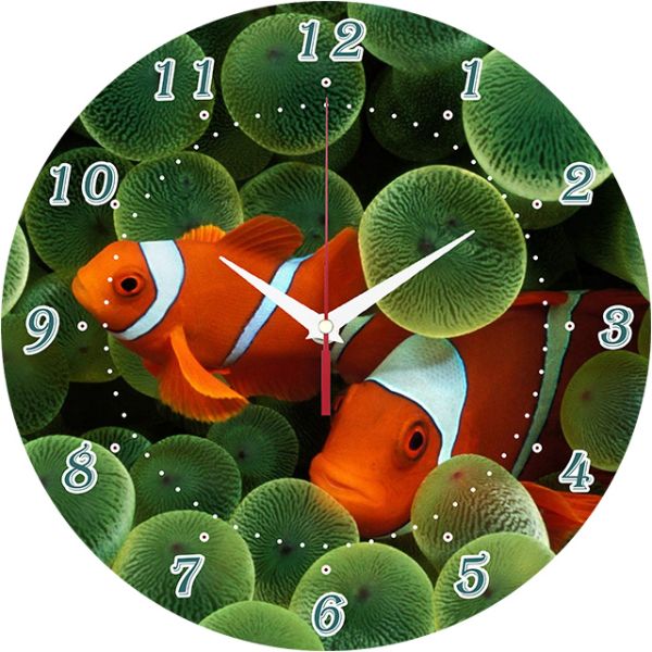 Часы настенные Немо c-002