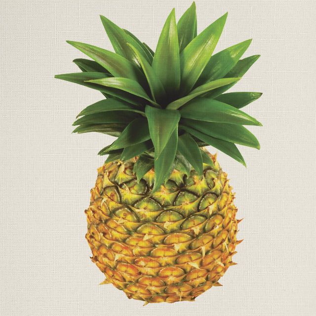 Купить ролеты на кухню. Rollpic 1004