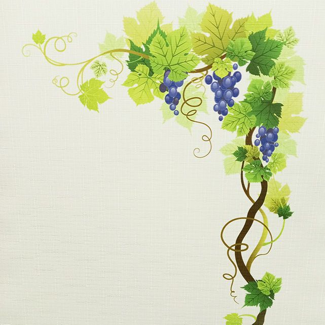 Роллет на кухню, Rollpic 1049