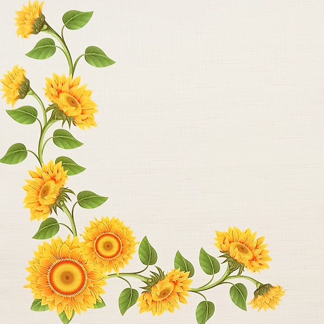 Шторы и жалюзи на кухню, Rollpic 1051