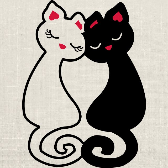 Рулонные шторы на кухне, Rollpic 1053