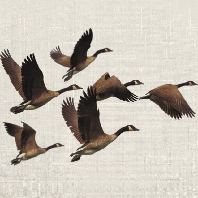 Рулонные шторы на балкон, новые идеи, Rollpic 4004