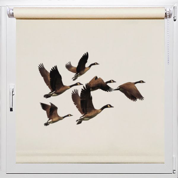 Рулонные шторы на балкон, новые идеи, Rollpic 4004