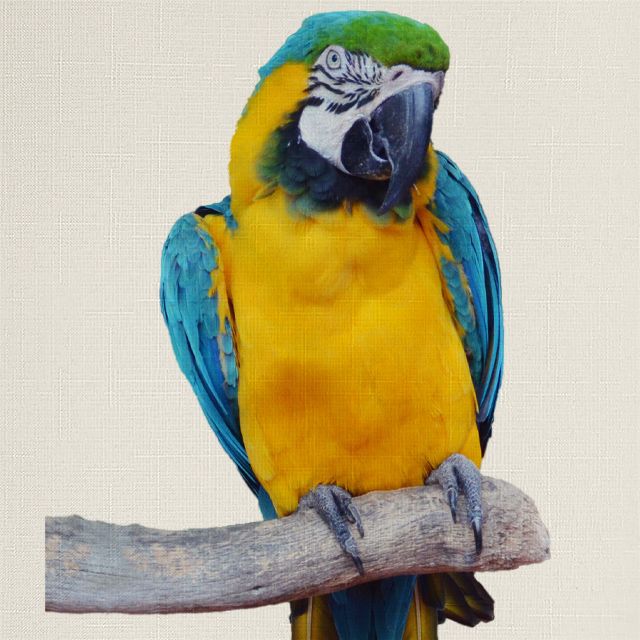 Рулонные шторы на лоджию, Rollpic 4008