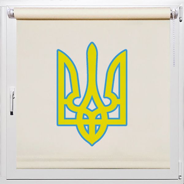 Рулонные шторы в актовый зал, Rollpic 8001