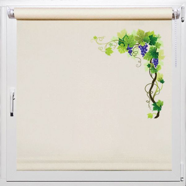 Роллет на кухню, Rollpic 1049