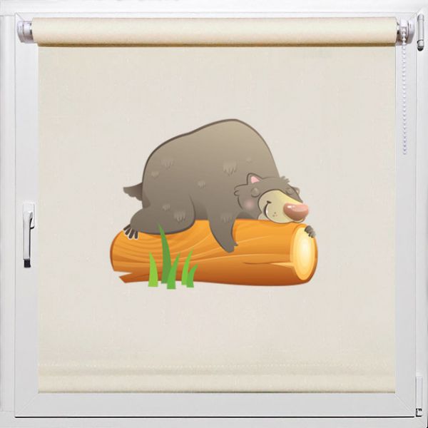 Тканевые ролеты детские, Rollpic 2008