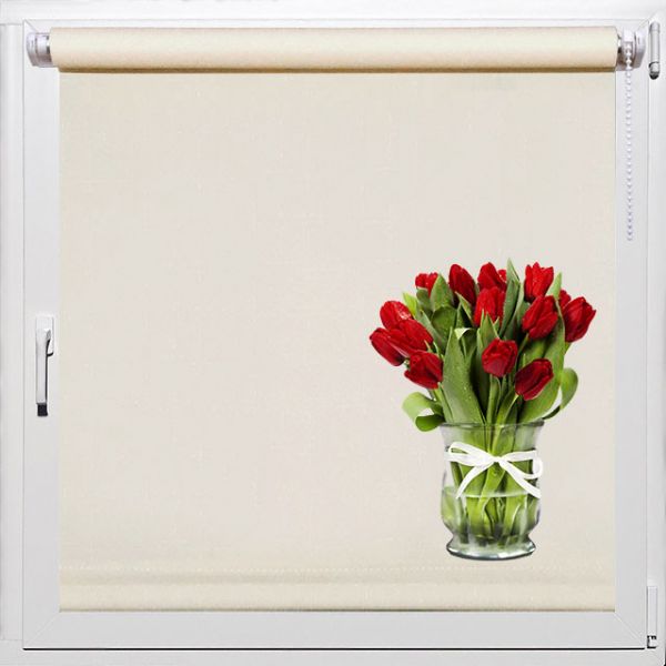 Ролеты на окна, кухня Rollpic 1048