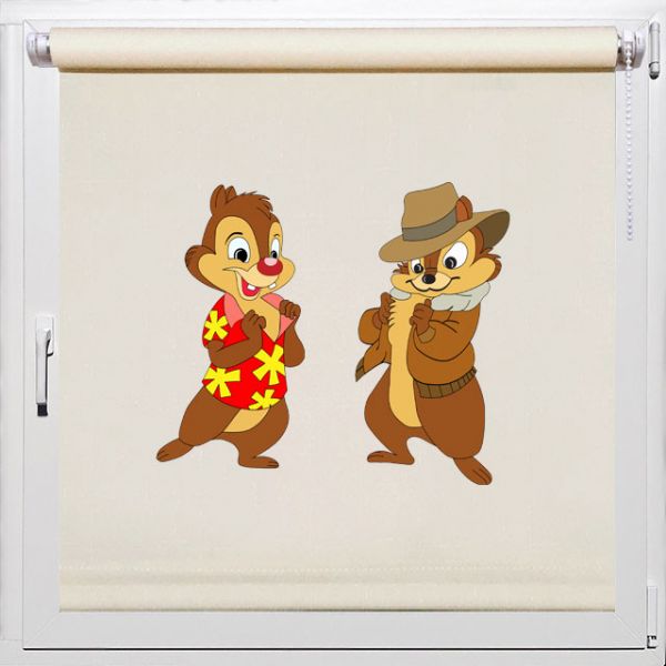 Жалюзи в детскую комнату, Rollpic 2013